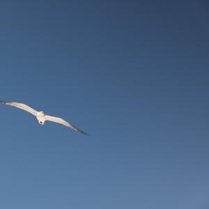 Небо на двох