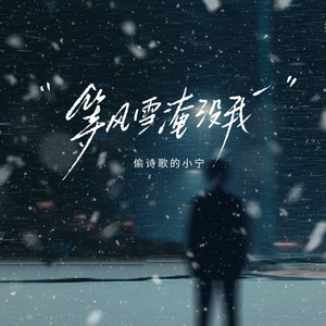 等风雪淹没我