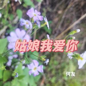 姑娘我爱你（DJ何友版）