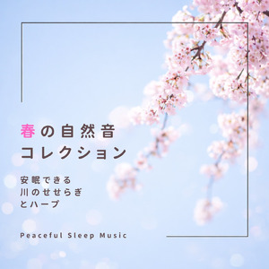 川と森のリラックスBGM - セロトニンを増やす森の音