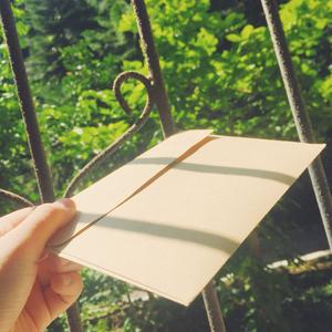 夏天写给我的歌