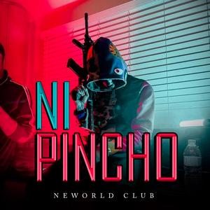 Ni pincho