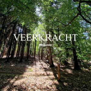 Veerkracht (‘Piano Version')