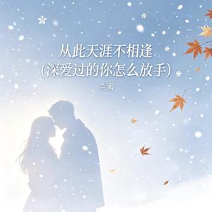 从此天涯不相逢（深爱过的你怎么放手）