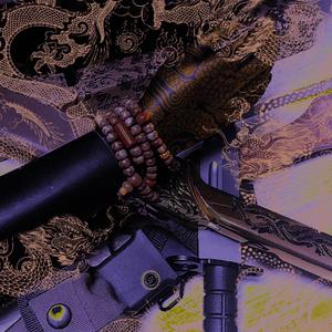 intro免责声明呀