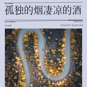 孤独的烟凄凉的酒