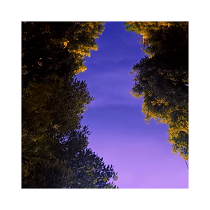 Autumn evening