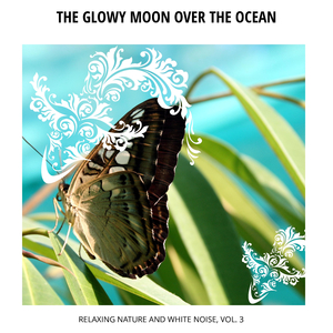 Soft Ocean and Birds Chirp Music