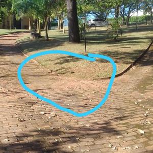 Micro Ponto (Bordado)