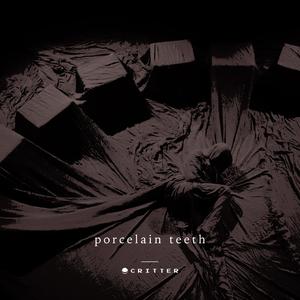 Porcelain Teeth