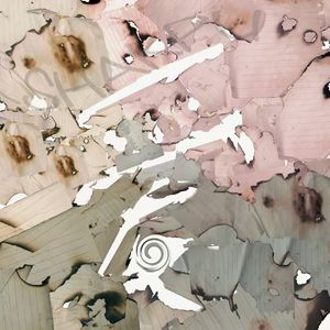 破碎的相紙封藏苦澀