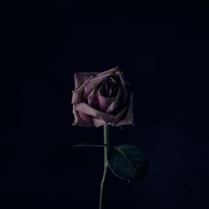 喜丧pt.2（prod by FRESH_ye）