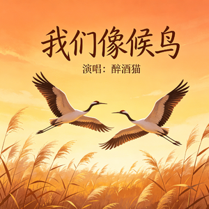 我们像候鸟