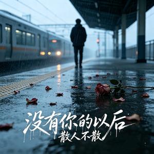 没有你的以后（男声遗憾版）