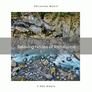 Whispering Brook Vibes for Deep Sleep