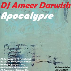 DJ Ameer Darwish - In The Void (Original Mix)