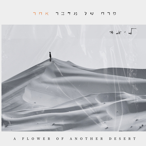 פרח של מדבר אחר