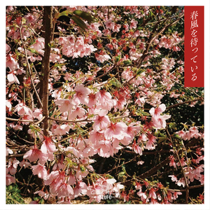 春風を待っている