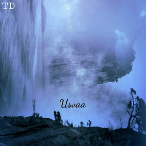 Usvaa