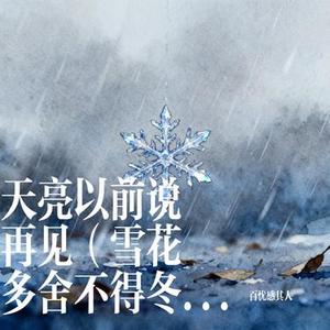 天亮以前说再见