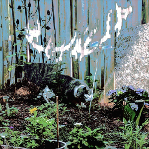 Bluegill (feat. zombAe)