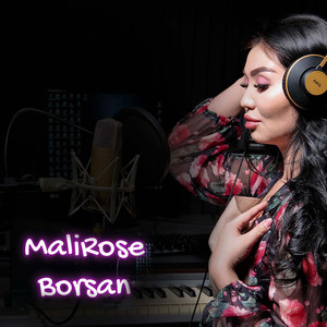 Borsan