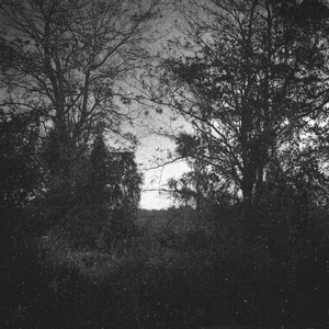 Perro (demo)