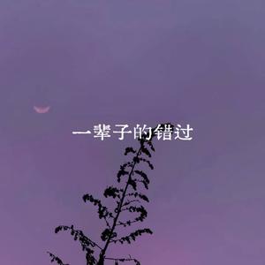一辈子的错过