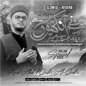 Hamne Ankhon Se Dekha Nahi He Magar (Lofi-Mix)