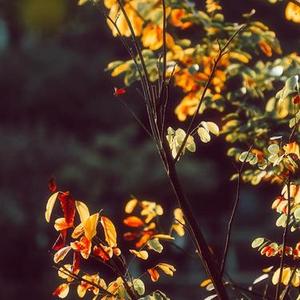 给生活多点实在