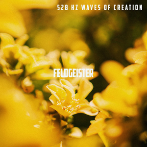 528 Hz Waves of Creation