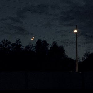 V.M（falling tone）