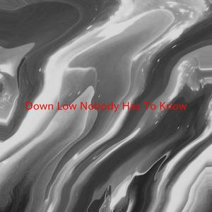 Down Low (Nobody Has To Know) (Instrumental version originally performed by R. Kelly feat. Ronald Isley)
