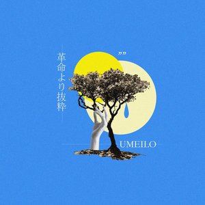 革命より抜粋