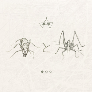 アリとキリギリス