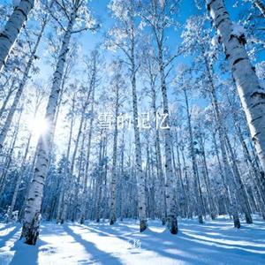 雪的记忆