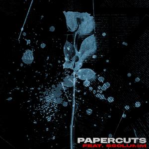 PAPERCUTS (feat. ssolumm)