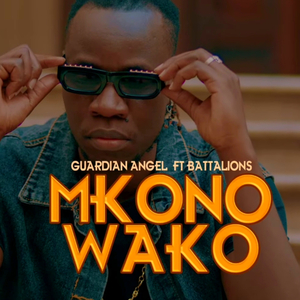 Mkono Wako