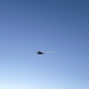 Илья Иофф-Калифорния（Pcpo remix）