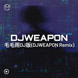 毛毛雨DJ新版