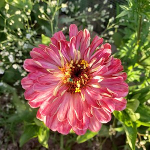 如果爱是一道选择题 那你永远是首选