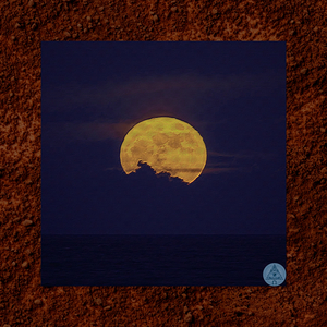 I'm Lying on the Beach When the Moon Appears