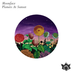 Undercat (Original Mix)