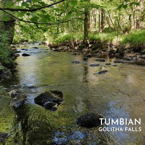 Golitha Falls