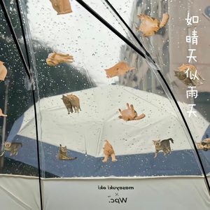 如晴天似雨天