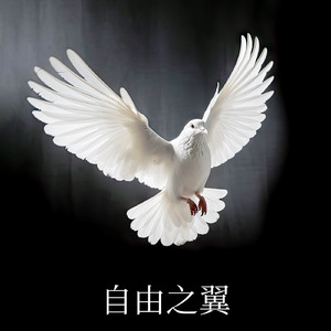 自由之翼