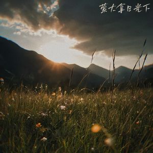 蒙大拿日光下
