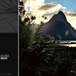 Amaan (Soul Trip Remix)