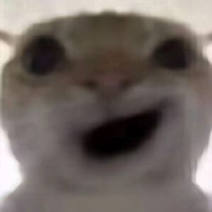 変態耄耋（哈基米音乐）