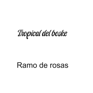 No Comprendo